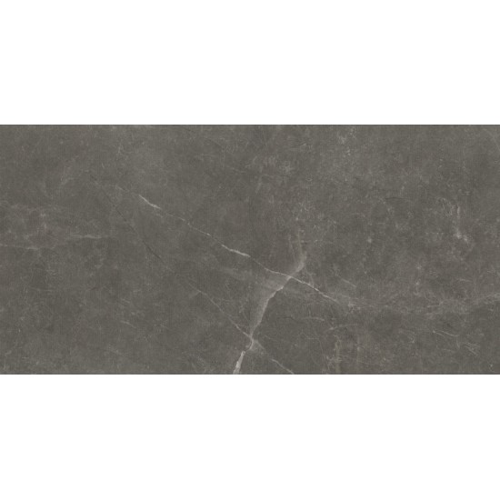 Πλακάκι Bayona Grey (Γκρι) Natural 60Χ120 Ματ Μαρμαριζέ